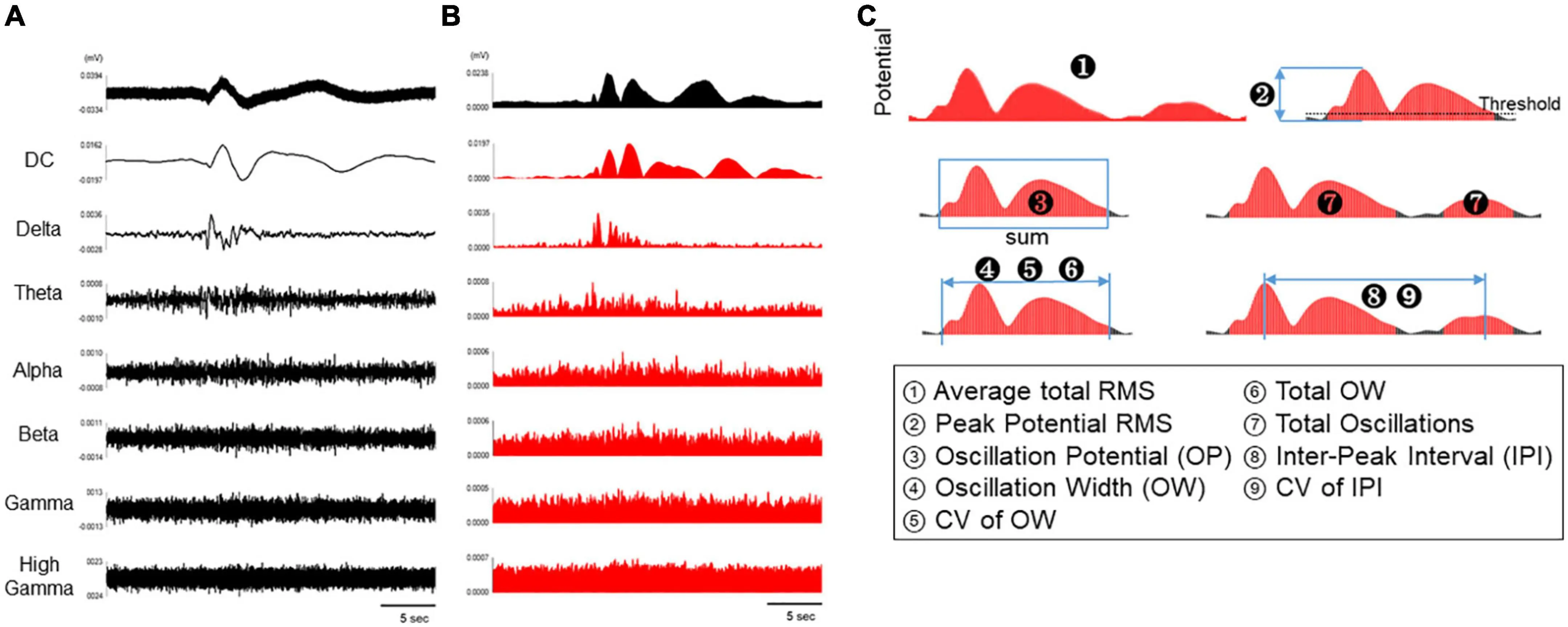 First Direct MEA Recording of Human Astrocyte Activity for Drug Assessment