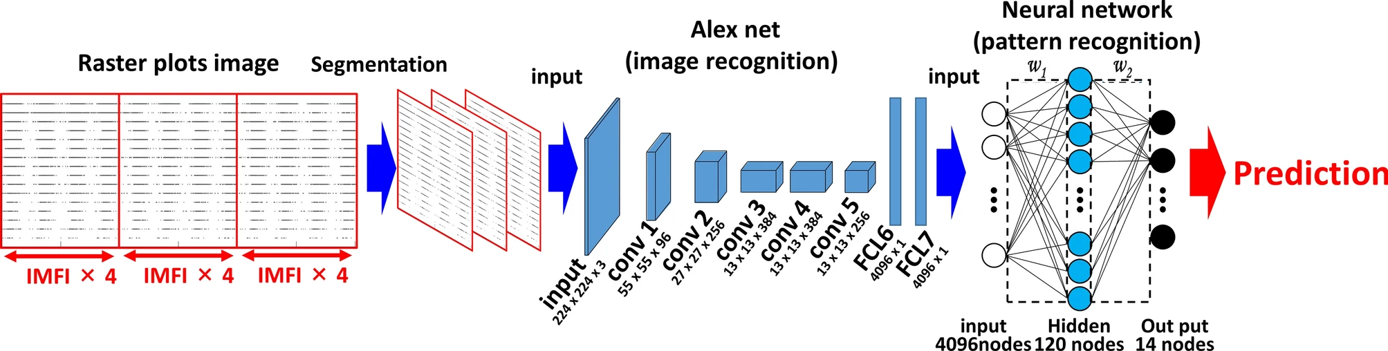 AI-Powered Raster Plot Analysis for Predicting Drug-Induced Seizure Liability