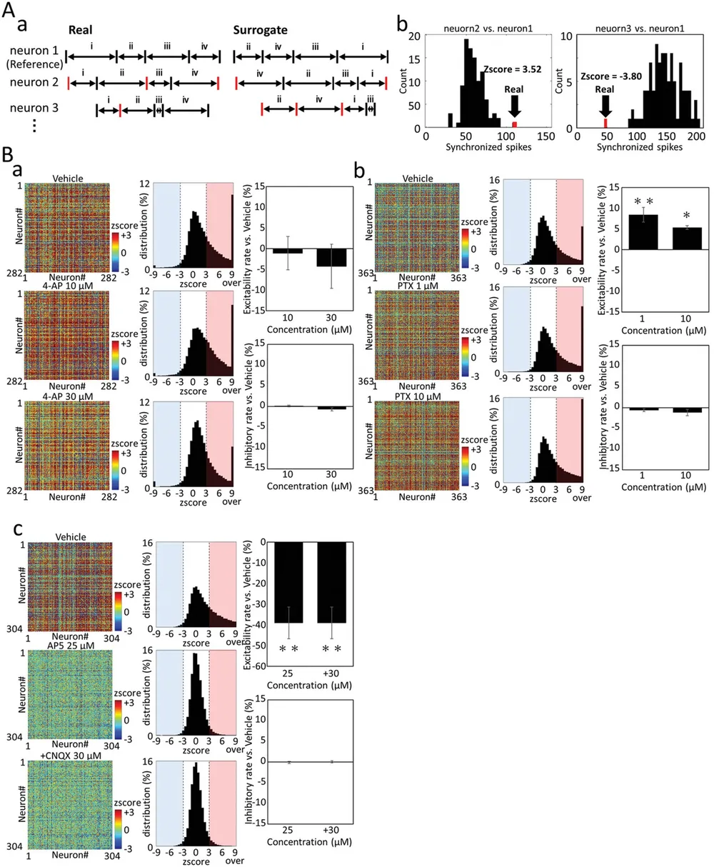 Unrivaled Synaptic Activity Mapping with High-Density CMOS-MEA