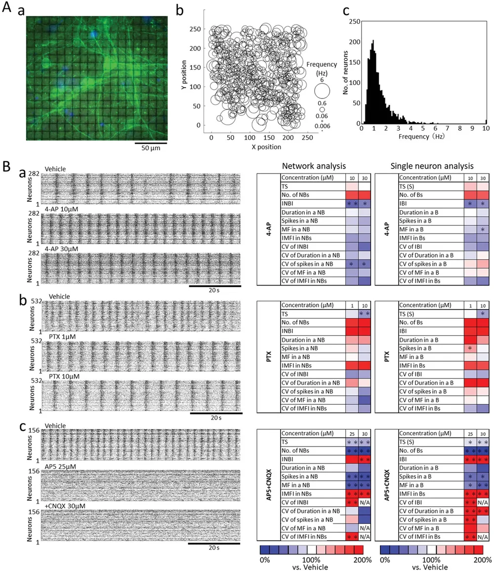 High-Density CMOS-MEA | Single-Cell Resolution for Drug Response Analysis